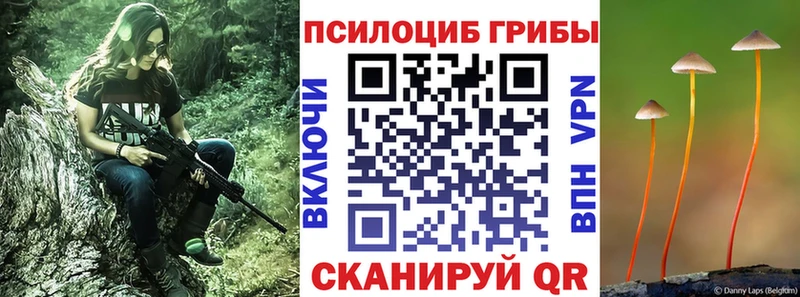 Галлюциногенные грибы ЛСД  Купить закладки  Щёлково 